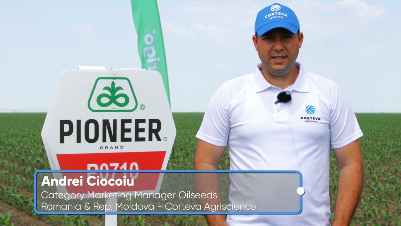 Testimonial porumb P0710 - Andrei Ciocoiu