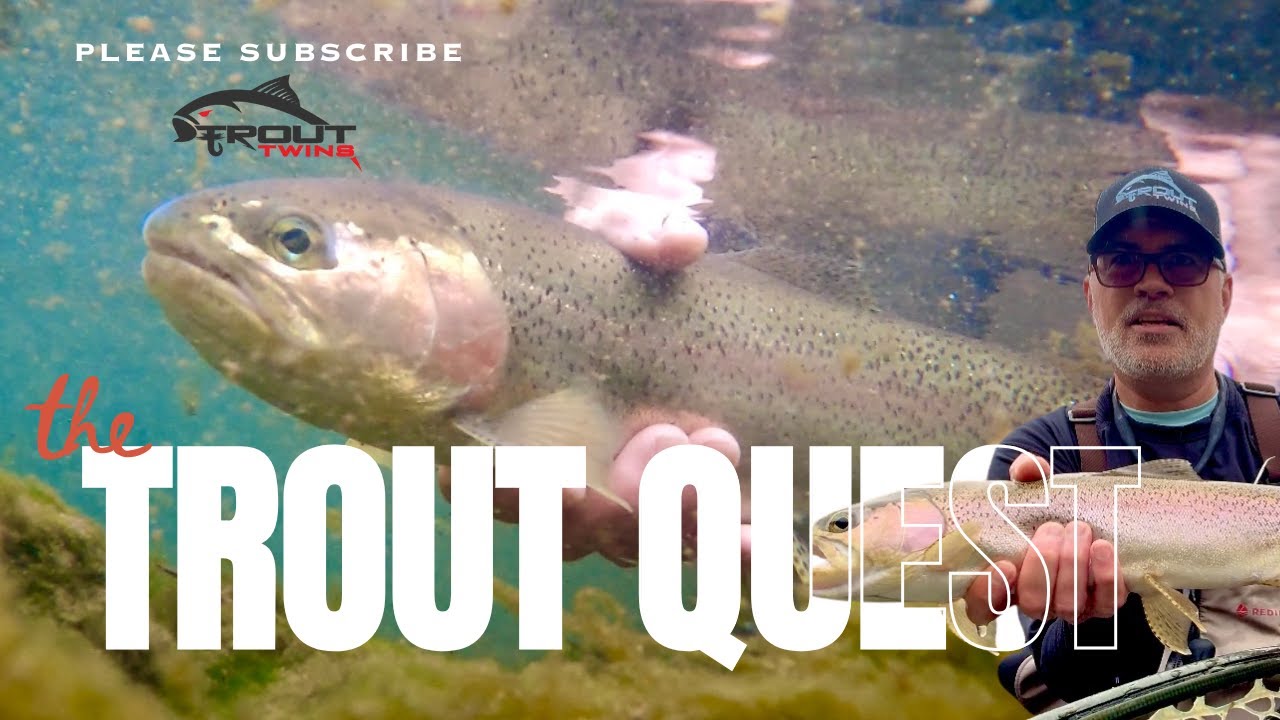 Trout Quest: День нахлыстовой рыбалки в Вашингтоне