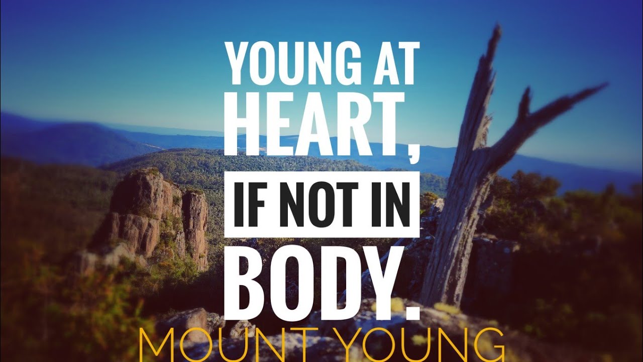 Mount Young|North East Tasmania