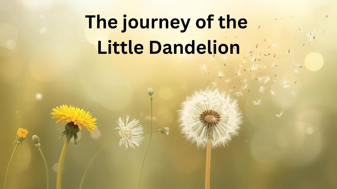 The journey of The Little Dandelion - A Children's Guided Visualisation