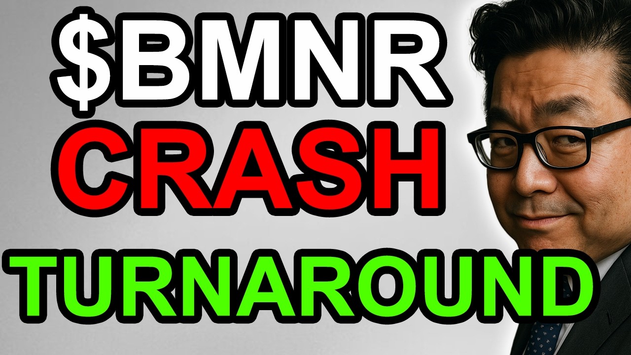 КРАХ $BMNR: Больше боли в понедельник, разворот во вторник
