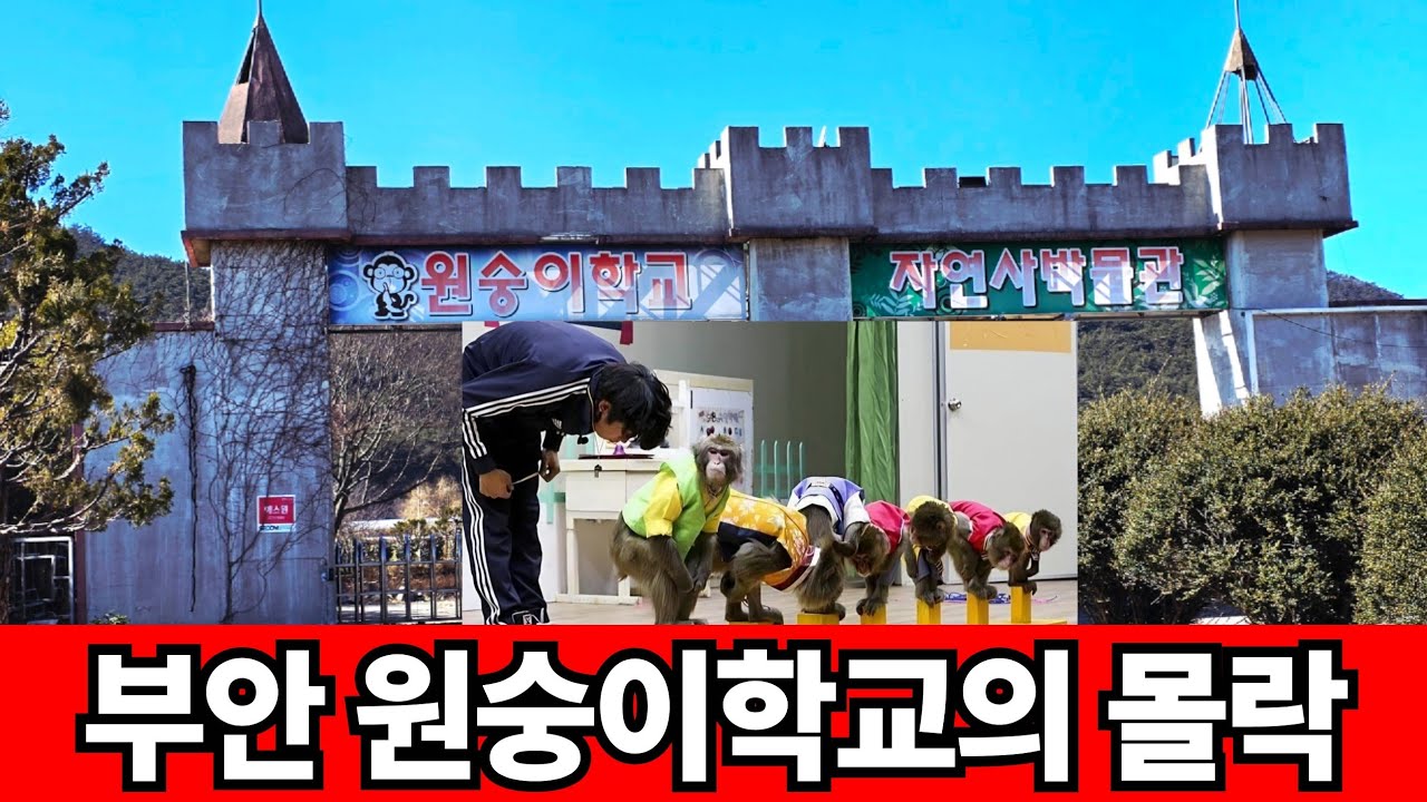 한해 35만이 찾았던 원숭이학교도 폐교