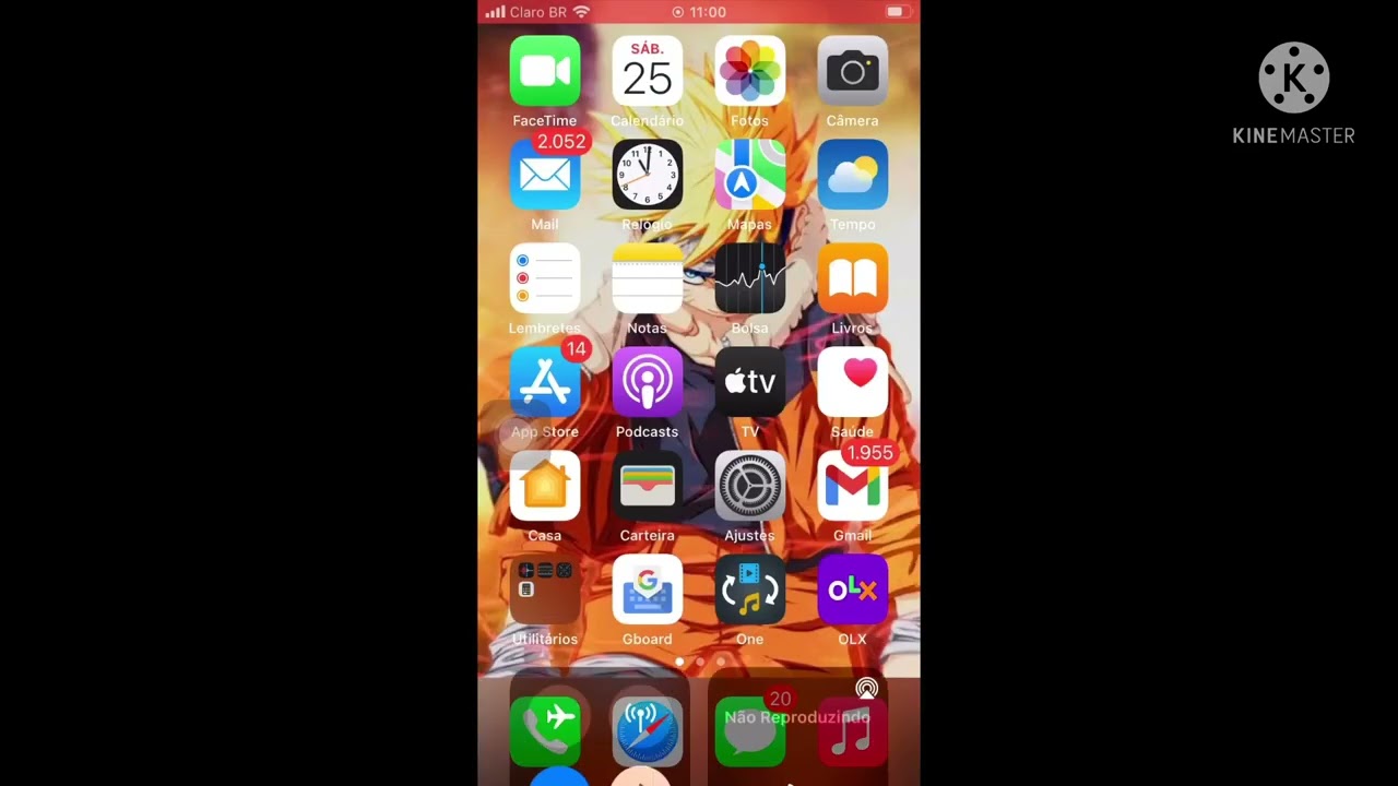 Como deixar seu WhatsApp do iPhone preto ou branco *Facil &eacute; R&aacute;pido*