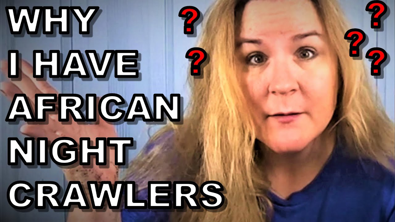 Why I Need African Night Crawlers- Carbon Eating Monsters