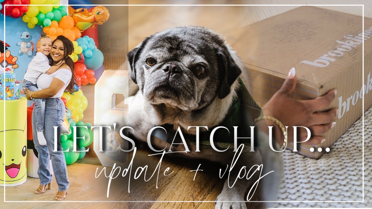 Vlog | Let's Catch Up! RIP Piglet, New Branding + Birthday Party!