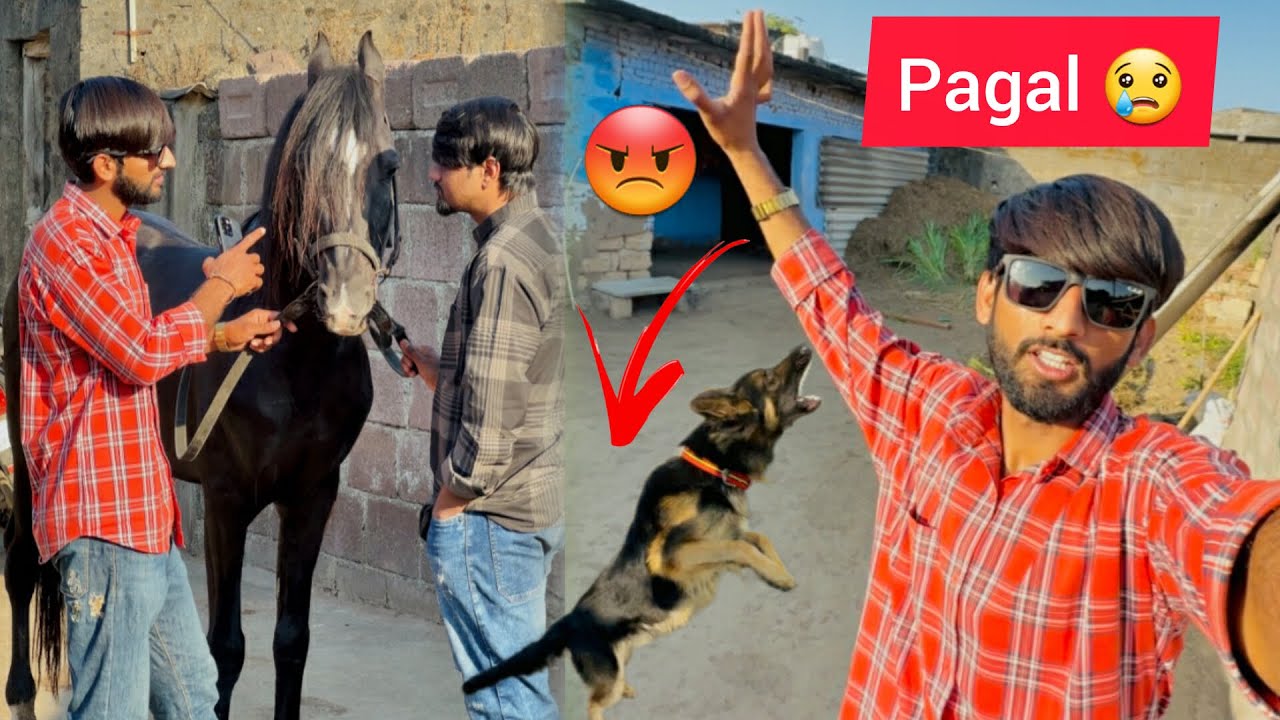 Aaj to hamare lucky ne ATTACK kr diya 😭