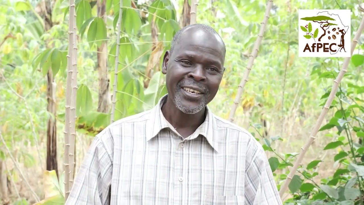 Changes in agroforestry systems at Mount Elgon, Uganda