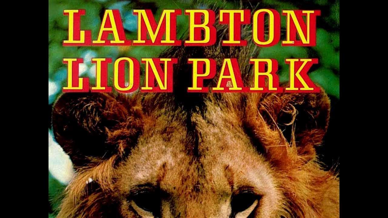 Lambton Lion Park 1973