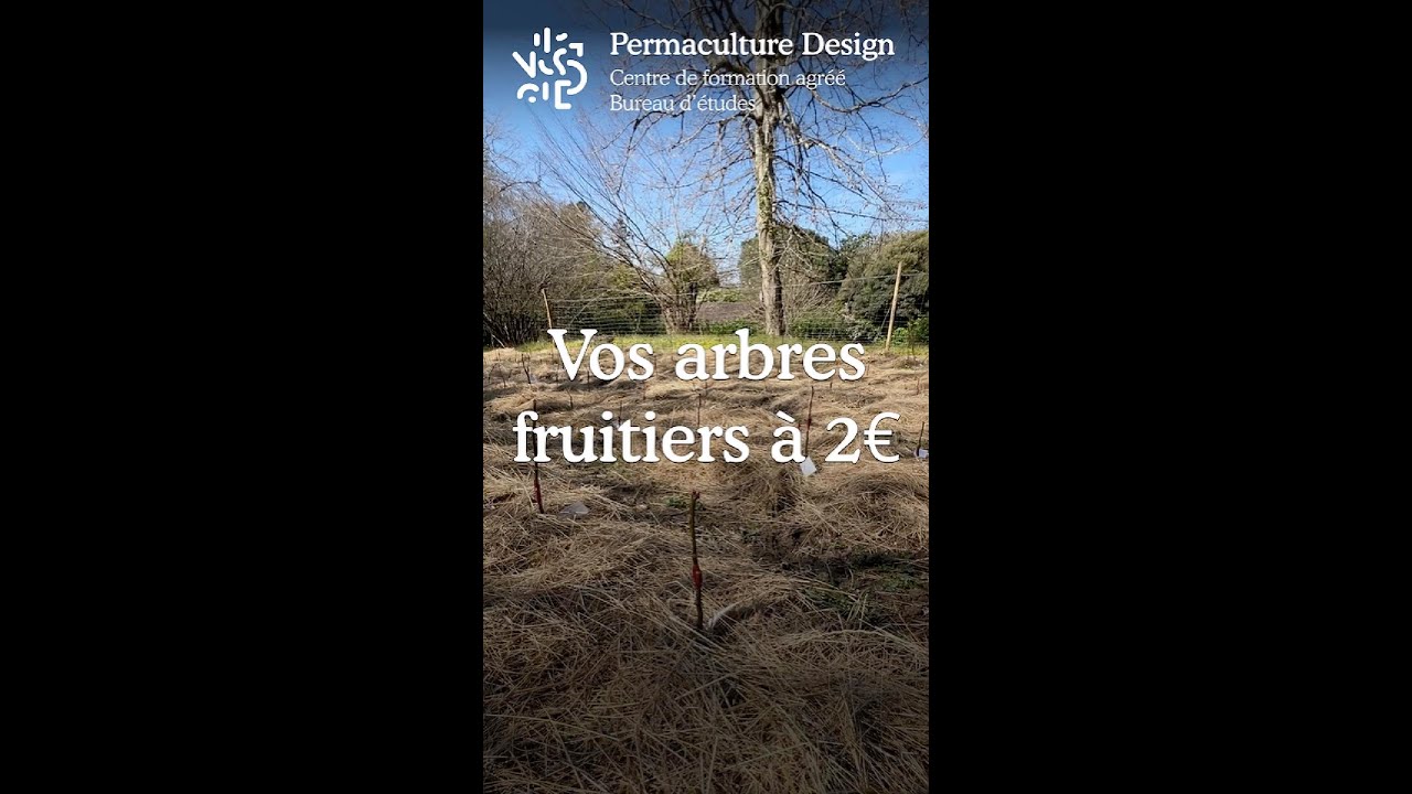 Verger naturel - arbres &agrave; 2&euro;