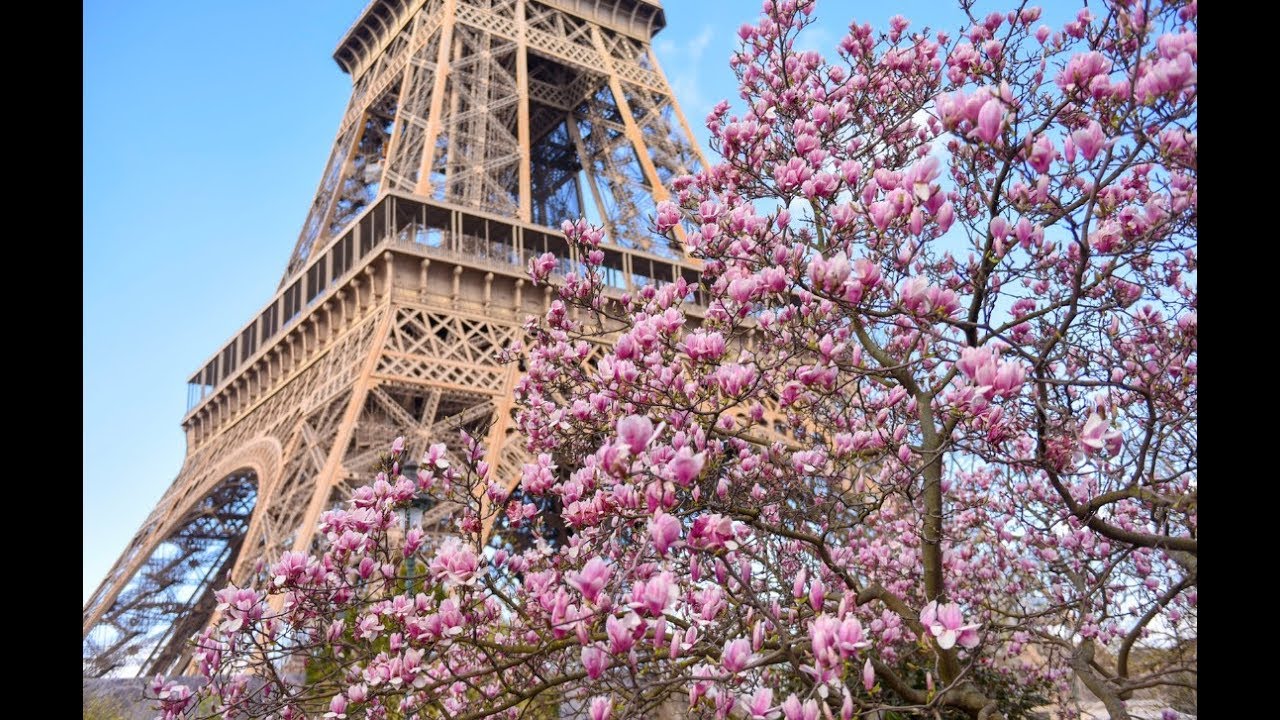 PRIMAVERA EM PARIS 2019 / Torre Eiffel e seus JARDINS