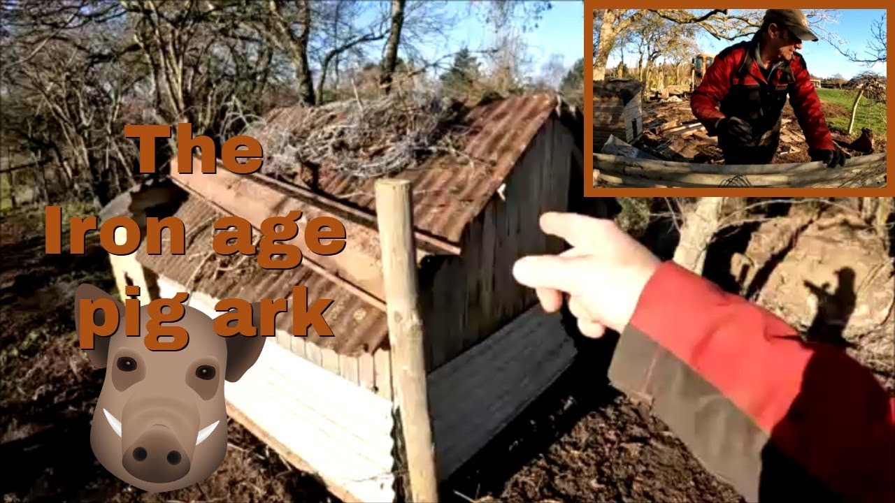 03/01/26 Destroying our Iron age pig ark!