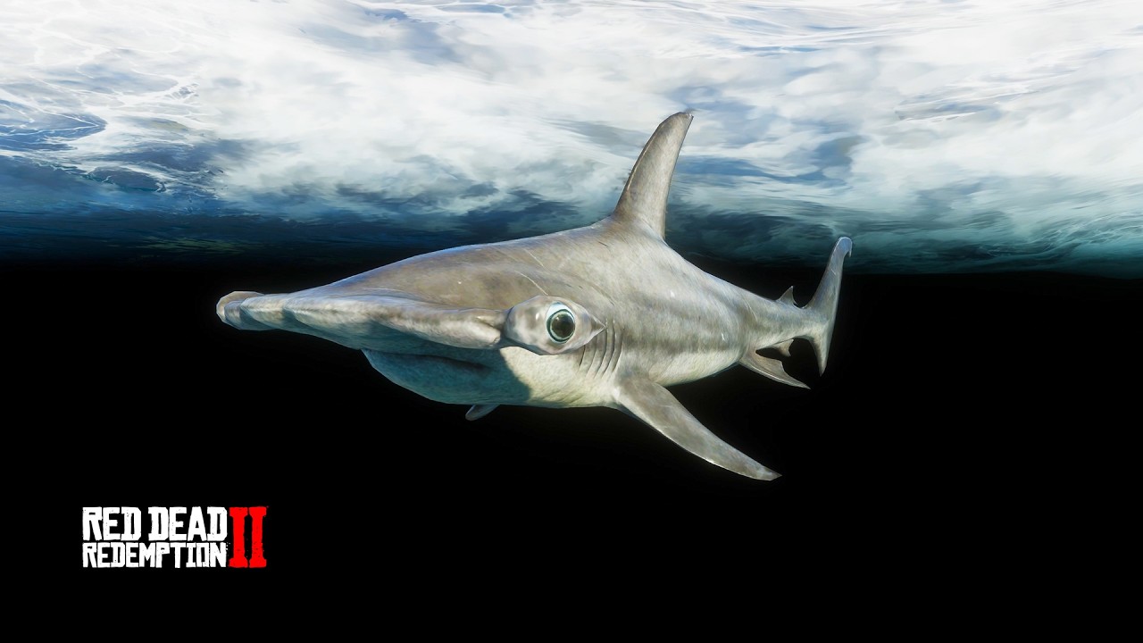 Hammerhead Shark Spawn Location #1 - Cinco Torres | RDR2