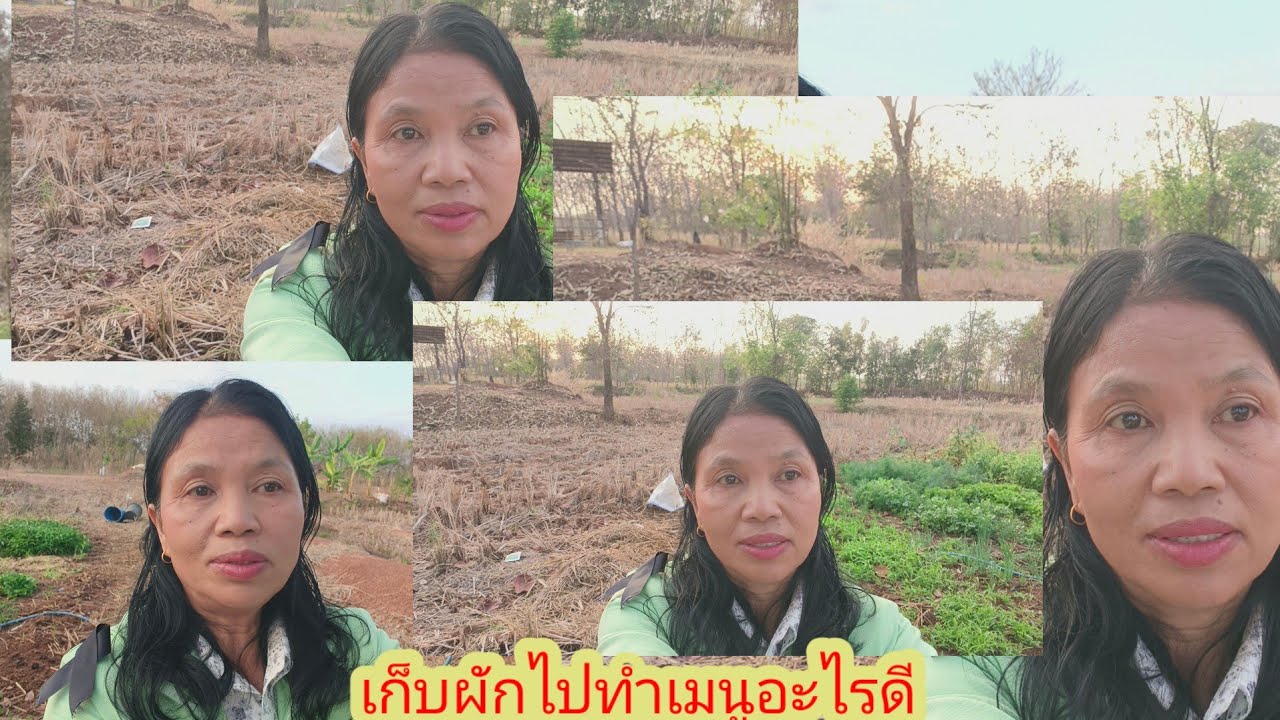 เกิดอะไรขึ้นกับสวหลังจาก ไปดูหมอลำ#ป้าแต๋นชาเเนล 