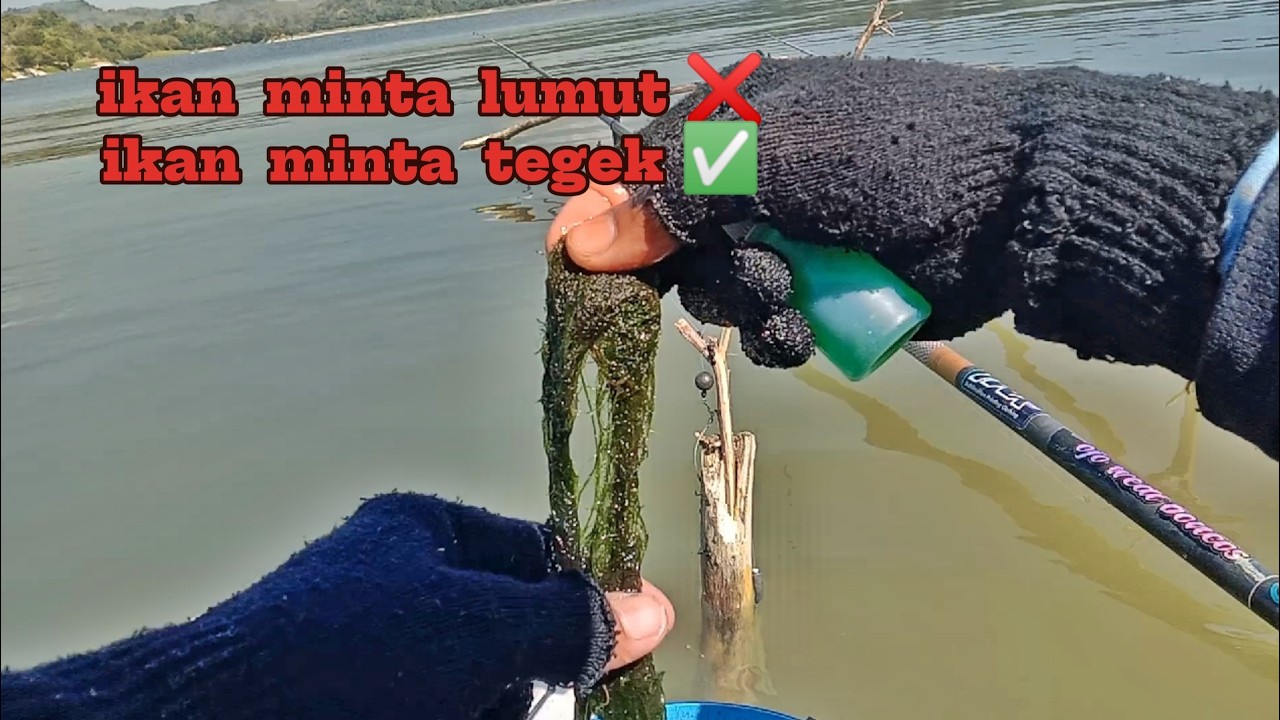 TIDAK PUNYA KATA KATA  PENTING BUKTI NYATA ‼️ WADUK PACAL BOJONEGORO 