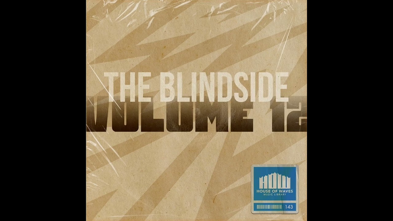 THE BLINDSIDE VOL.12 Sample Pack - The Blindside
