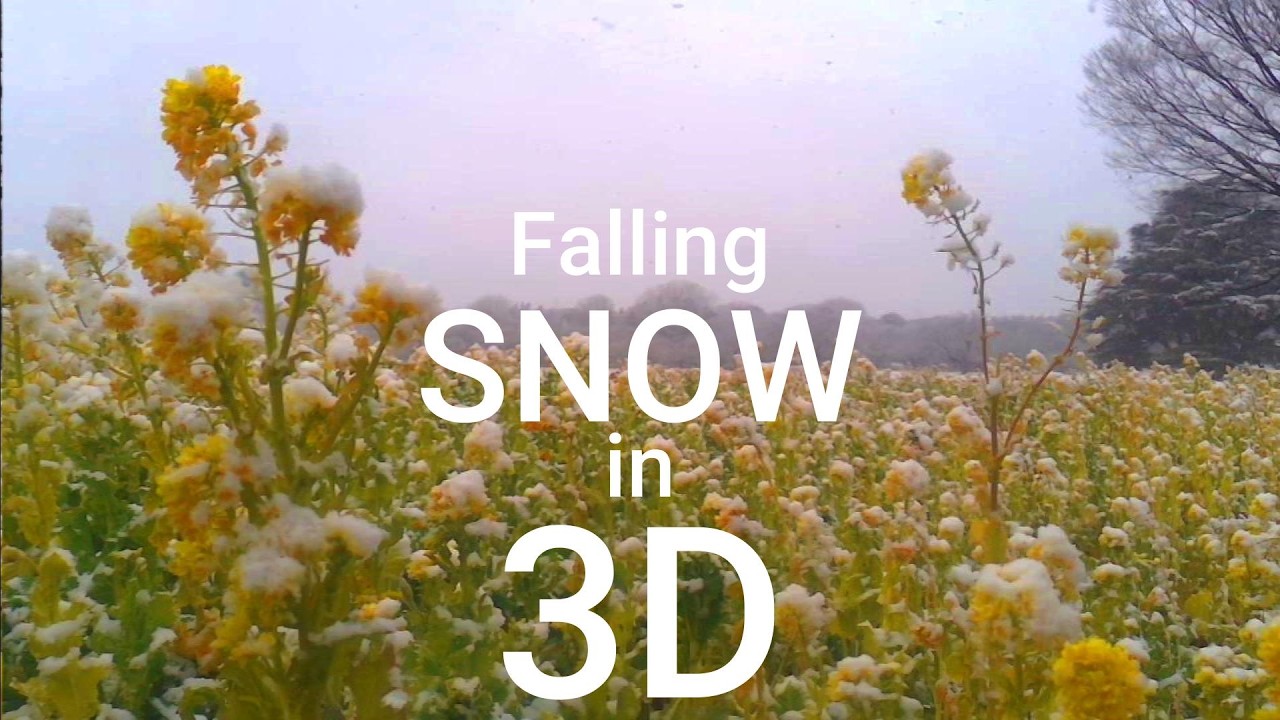 Snow Falling | 3D SBS VR | QooCam EGO 視力回復・立体視