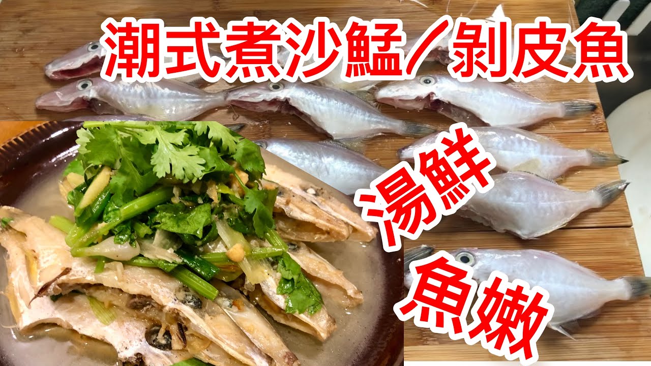 海鮮好易煮❗️五分鐘煮出潮州家常煮沙鯭/剝皮魚做法，一次過品嚐魚肉，魚湯食法；說明揀魚/煎魚技巧‼️ 中文字幕