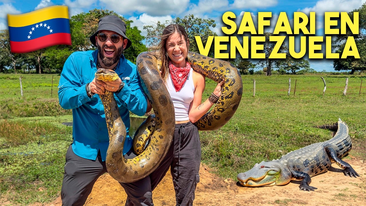 EN BUSCA DE ANACONDAS Y COCODRILOS EN VENEZUELA