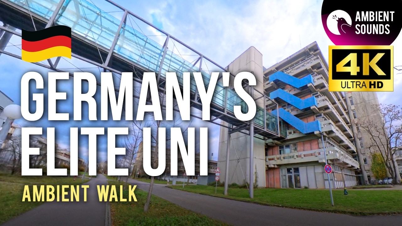 Heidelberg University Campus Tour: Neuenheimer Feld During Golden Hour 🇩🇪 | 4K POV Walk Germany