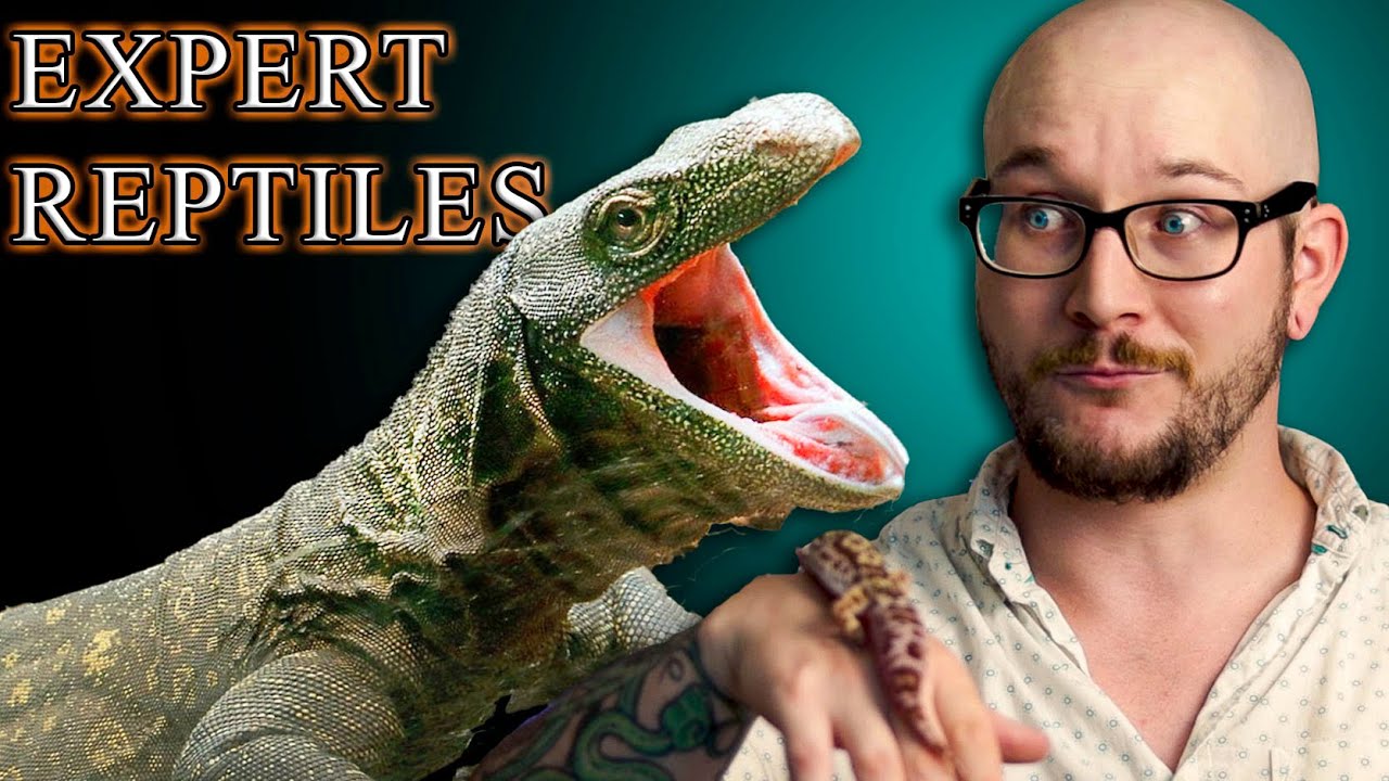 Top 5 Best Reptiles For EXPERT Keepers