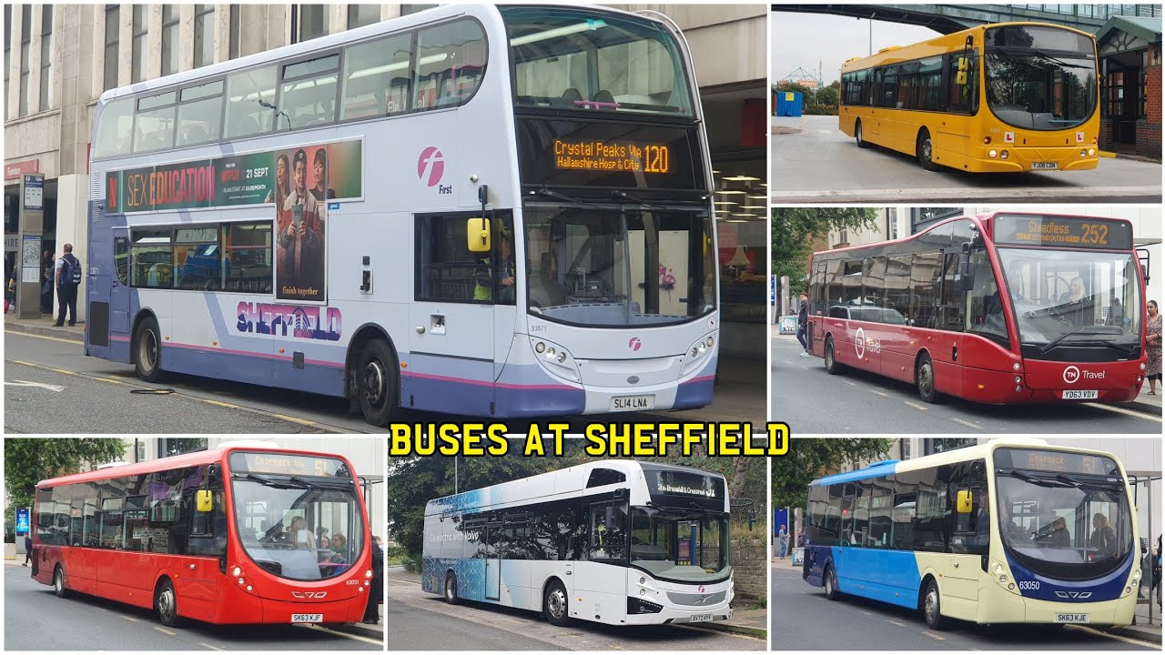 Buses At Sheffield