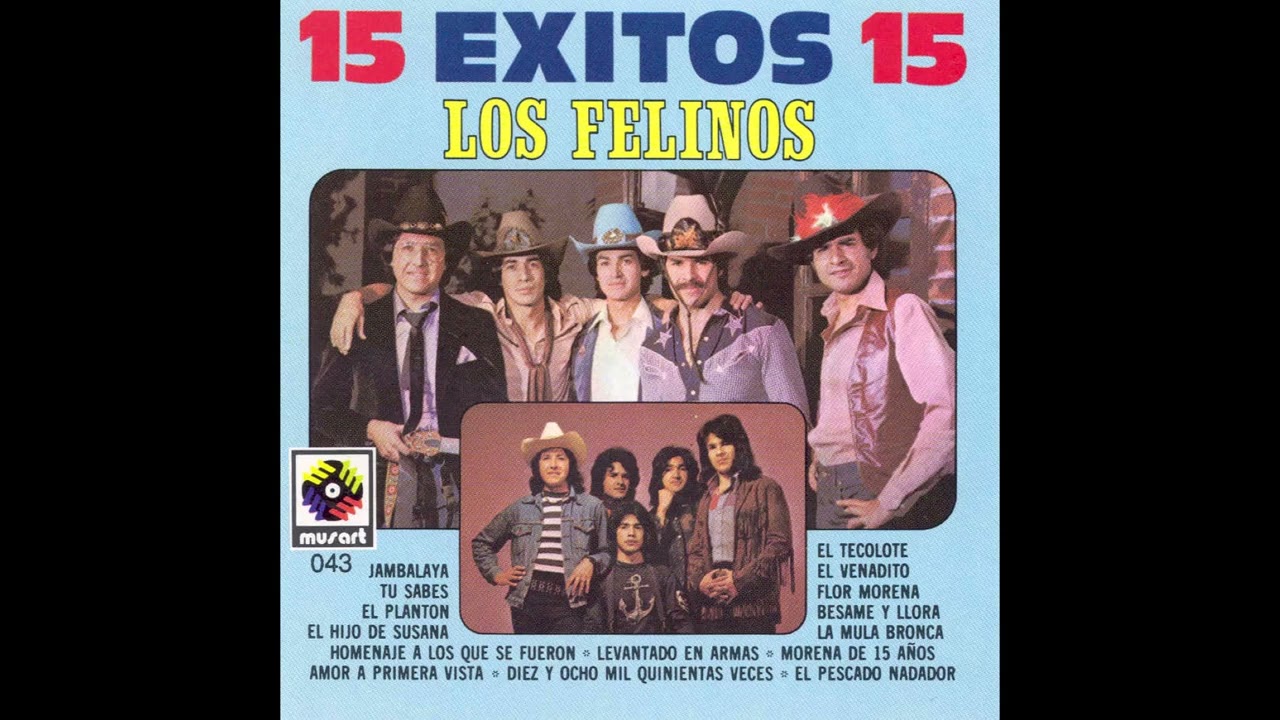 Los Felinos - El Tecolote
