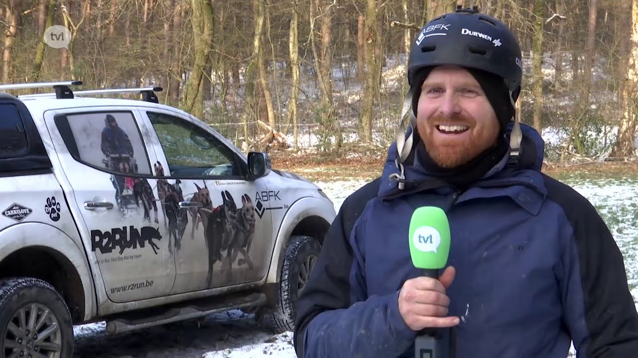Stefan Goris en zijn sledehondenhonden op TVL - 04/02/2021
