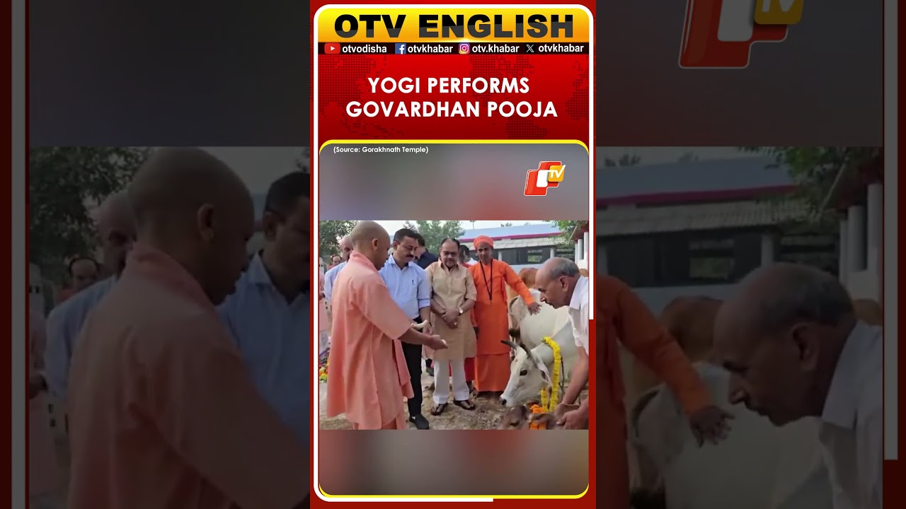 UP CM Yogi Adityanath Performs Govardhan Pooja, Feeds Cows At Gorakhnath Temple