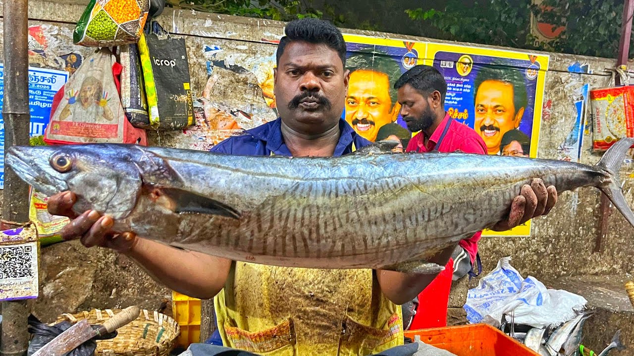 KASIMEDU 🔥 SPEED SELVAM | HUGE KING SEER FISH CUTTING VIDEO | 4K VIDEO | KM FISH CUTTING
