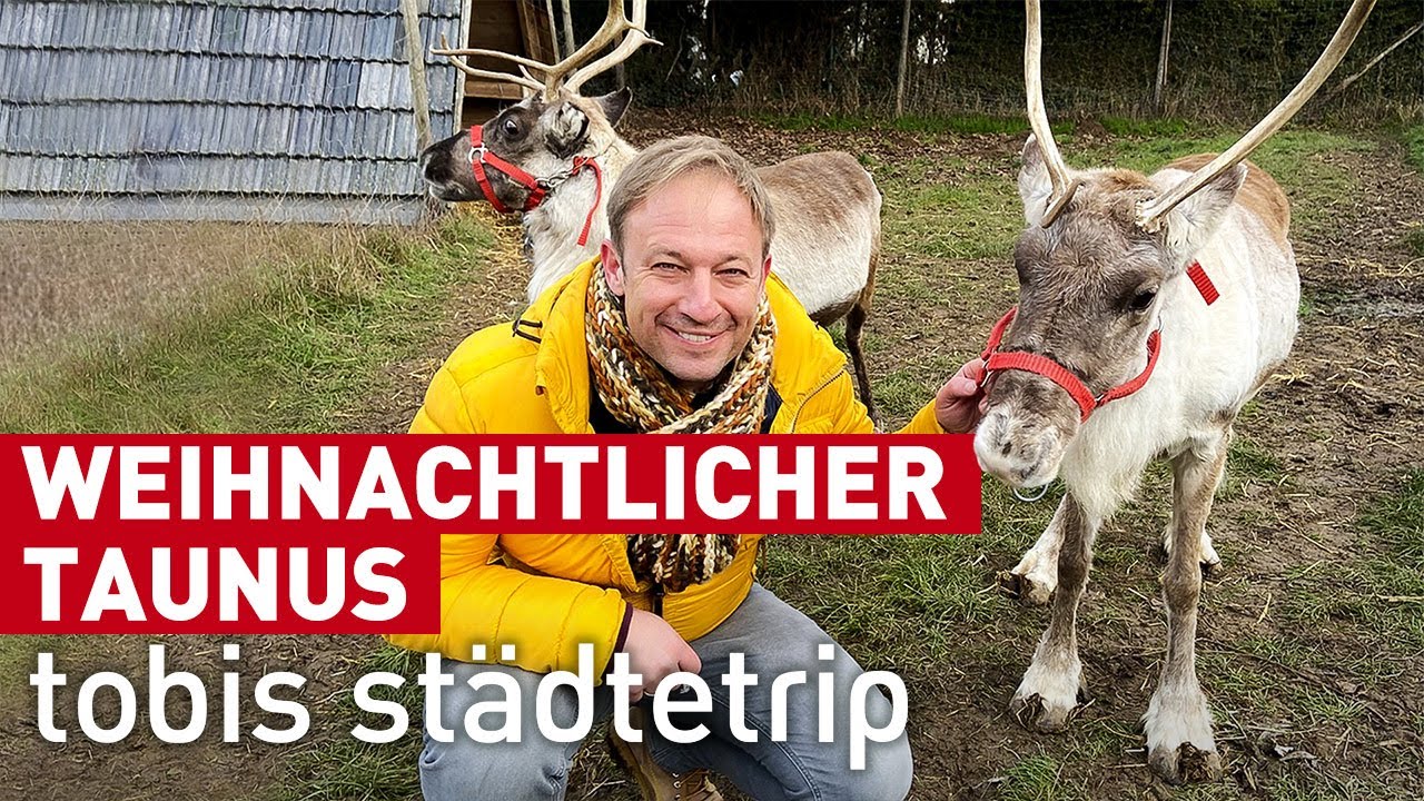 Weihnachtlicher Taunus | Tobis Städtetrip