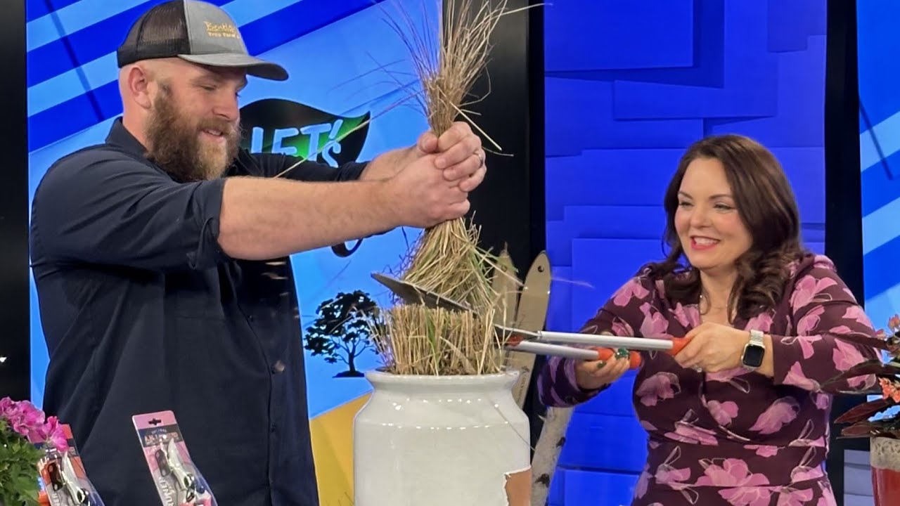 Hold Your Roots! | Let's Grow | Hello Iowa 3/8/24