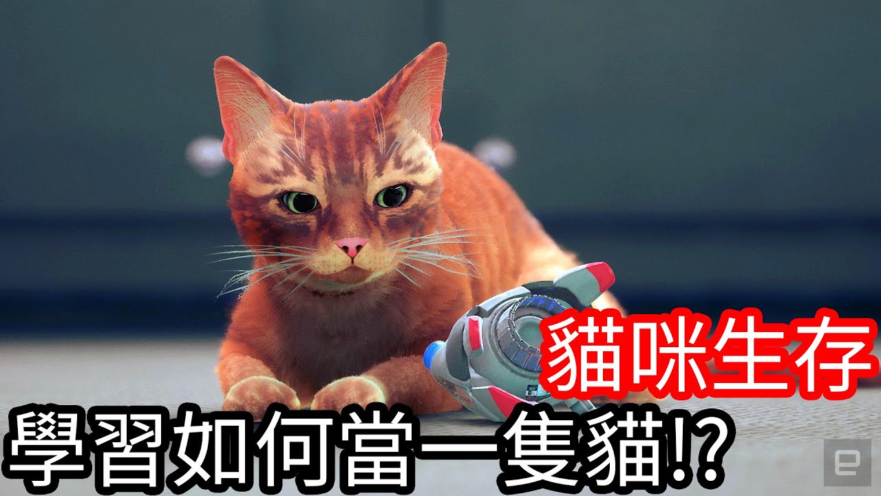 【Kim阿金】貓咪生存 學習如何當一隻貓!?《Stray》