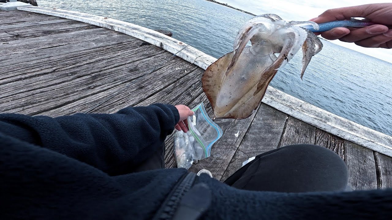 SQUIDDING OFF ST LEONARDS PIER: MY OLD STOMPING GROUNDS! EP.85