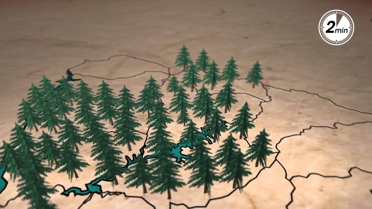 Actividad forestal en el Uruguay