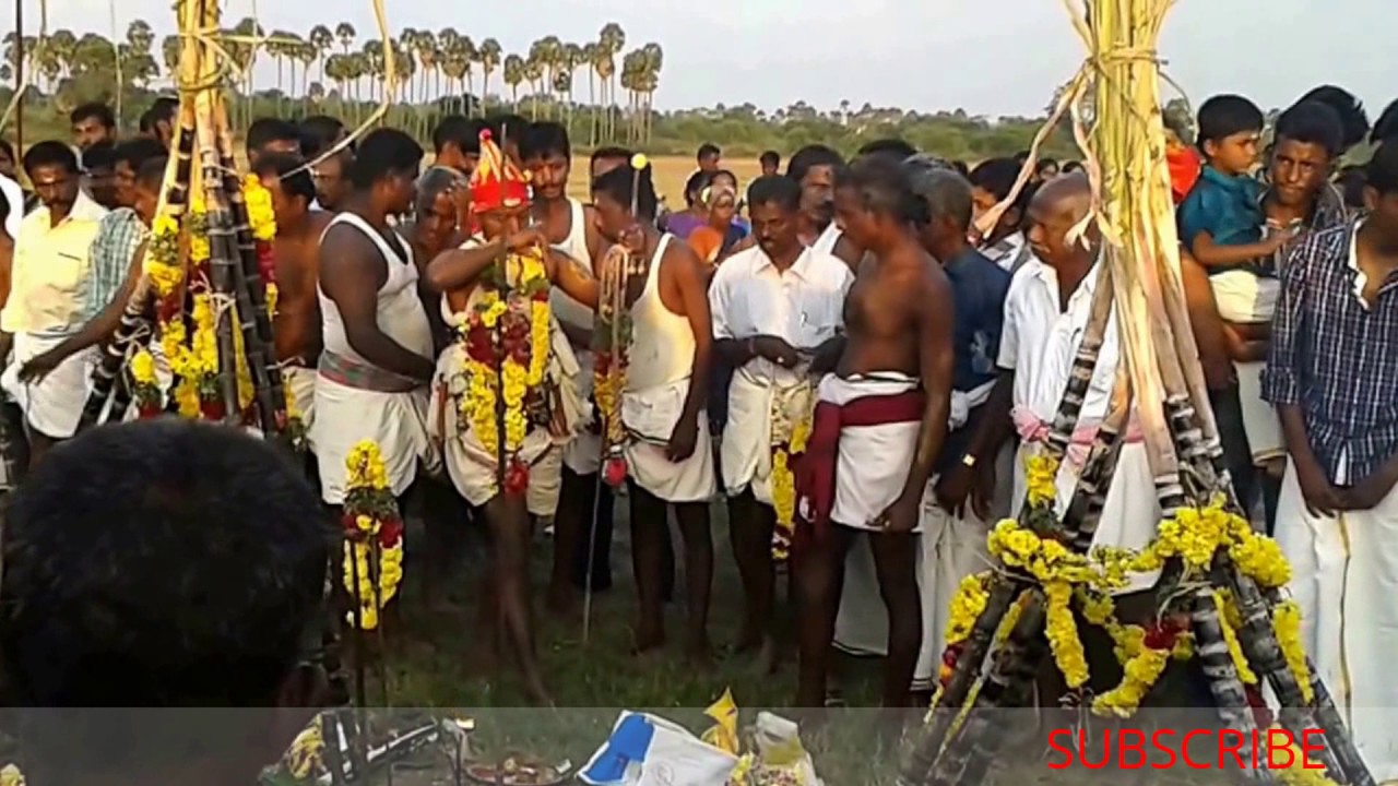 Kayampatti pongal-Pattavan swamy attam-Village festival-கிராம தெய்வம்