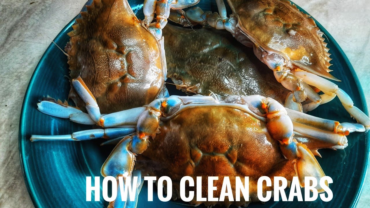 step by step process on how to clean your crabs!!!....