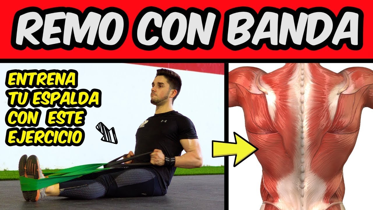 BAND ROW (Remo con Banda)🔥  Entrena tu ESPALDA con una Banda ⚡