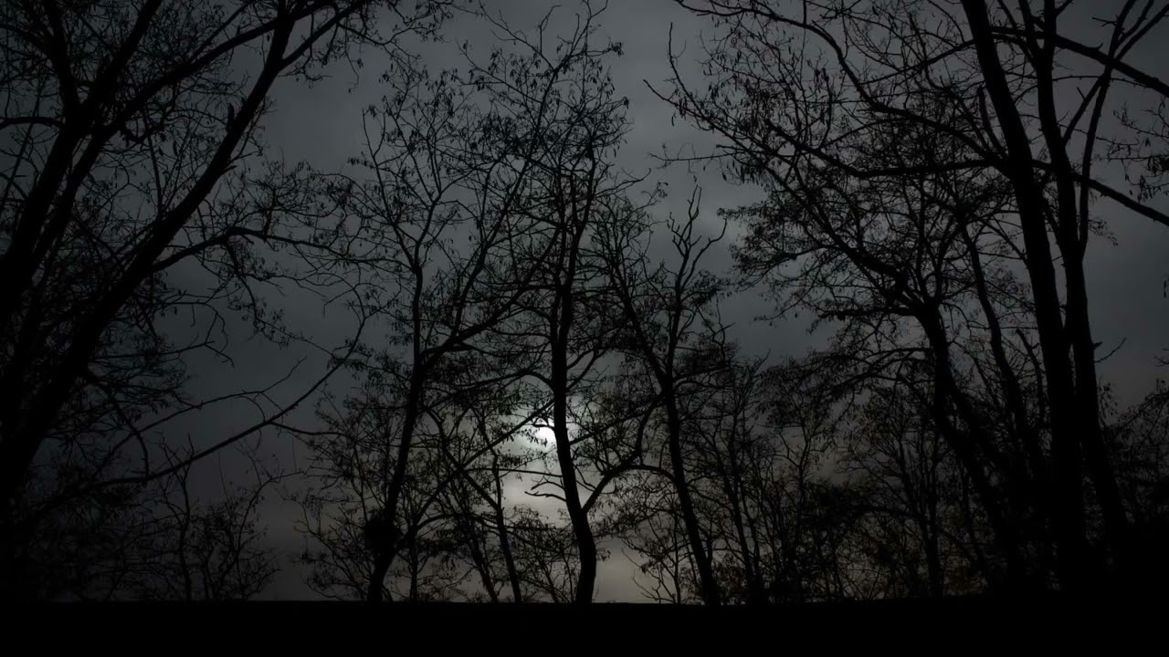 Atlantsis, InfinityZer0, Xanyriyth, BlueCherry Ft ЭмролдДжен & ブルームーン 'Lightningstorm Pt II [Slowed]