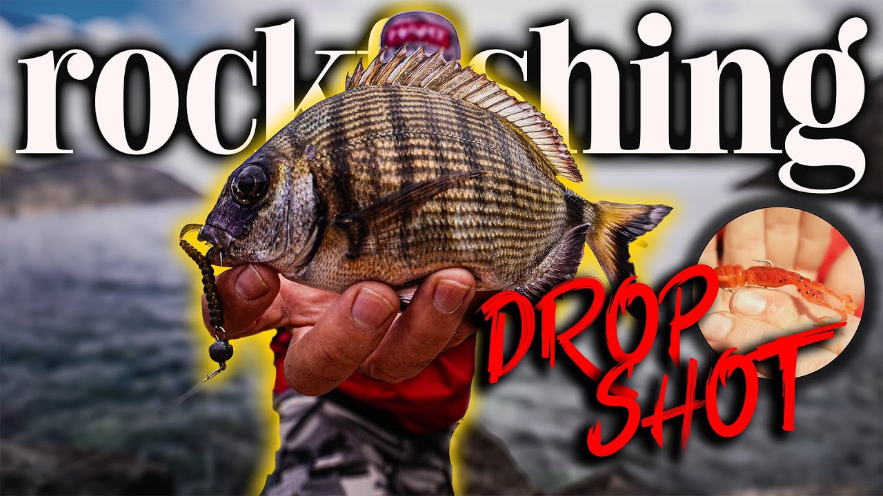 💥COMO HACER montaje DROP SHOT‼️‼️ ROCKFISHING final de INVIERNO. vlog 50