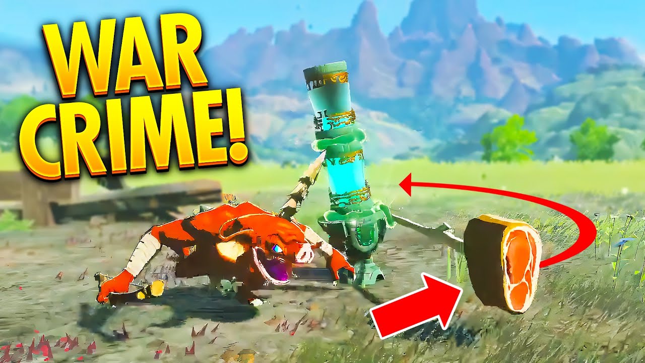 Zelda TotK Best Highlights, Builds & Funny Moments #63
