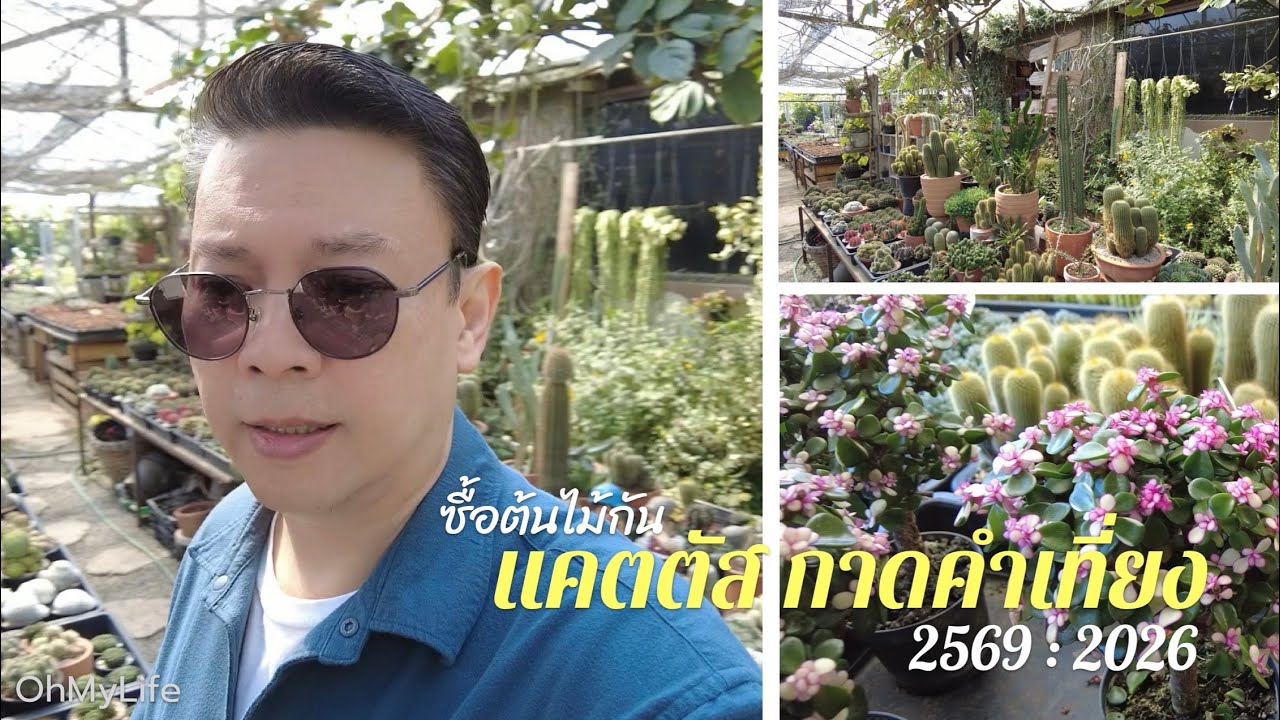 แคตตัส ตลาดคำเที่ยง 