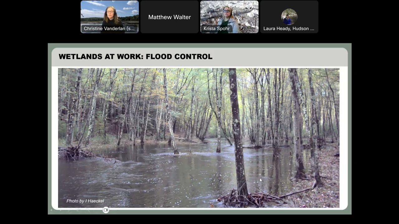 Wetlands of Unusual Importance and NY's New Freshwater Wetlands Regulations