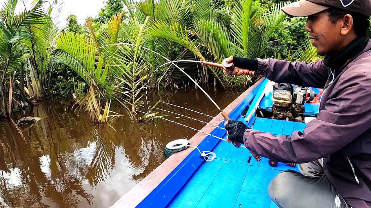 Sampai bingung.. 2 joran strike bersamaan.. Mancing udang galah untuk beli mukenah anak