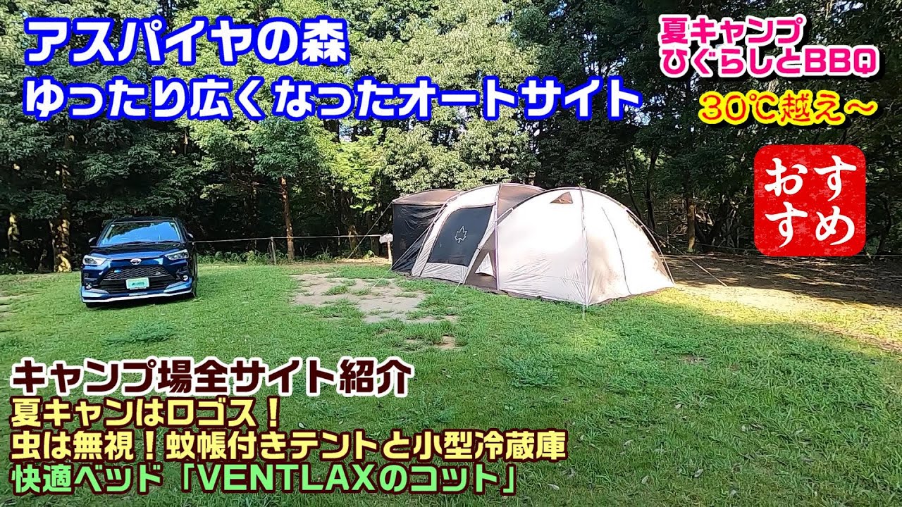 茨城県 アスパイヤの森キャンプ場 ロゴスで冷蔵庫の夏キャンプ 蚊帳で虫をシャットアウト！VENTLAXのコット ワイドノーマル比較 水戸インターおりてすぐ！