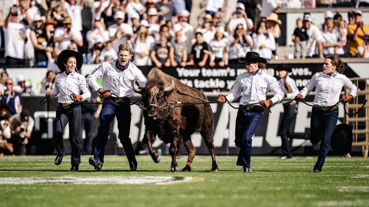 Ralphie, The Best Mascot in College Sports