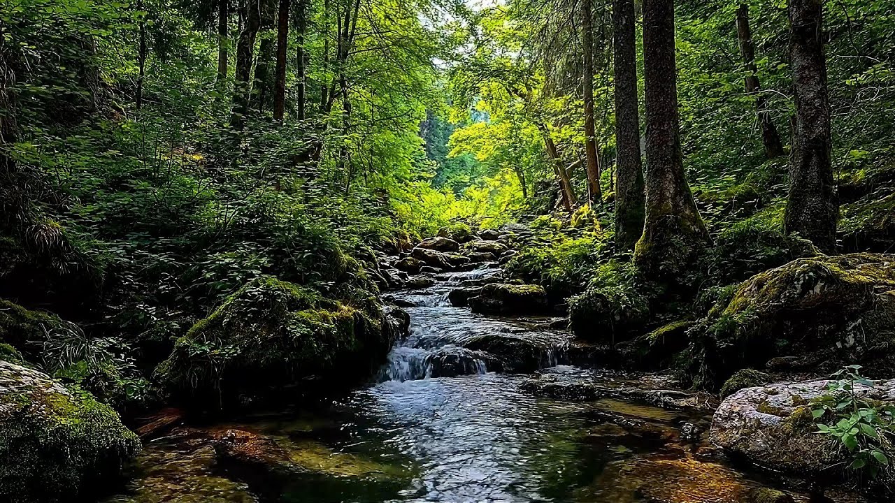 Relaxing Sounds Of Forest Stream With Gentle Nightingale Birdsong, Nature Sounds For Deep Sleep
