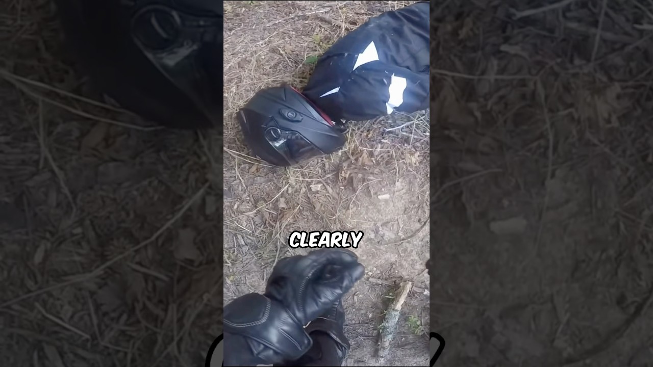 Biker Hits Deer At 100mph! 😨 Credit: @Jdev17