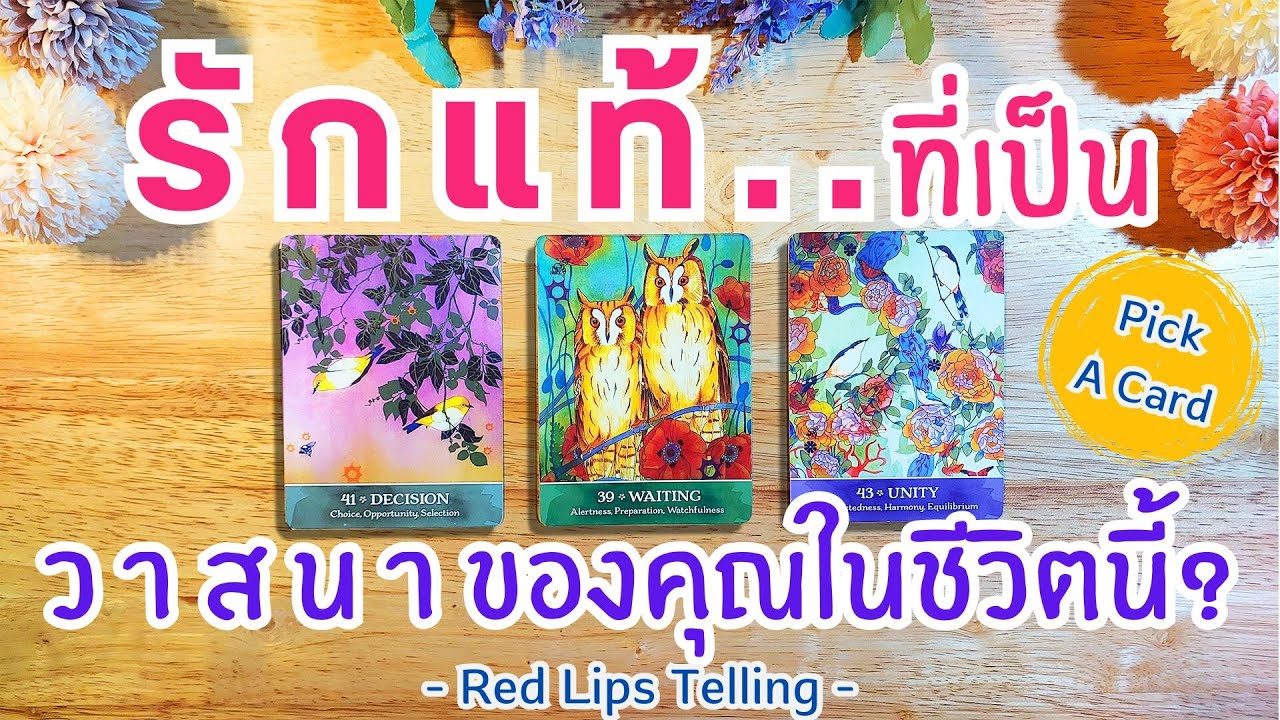 Pick A Card : รักแท้...ที่เป็น วาสนาของคุณในชีวิตนี้? [ Timeless ]