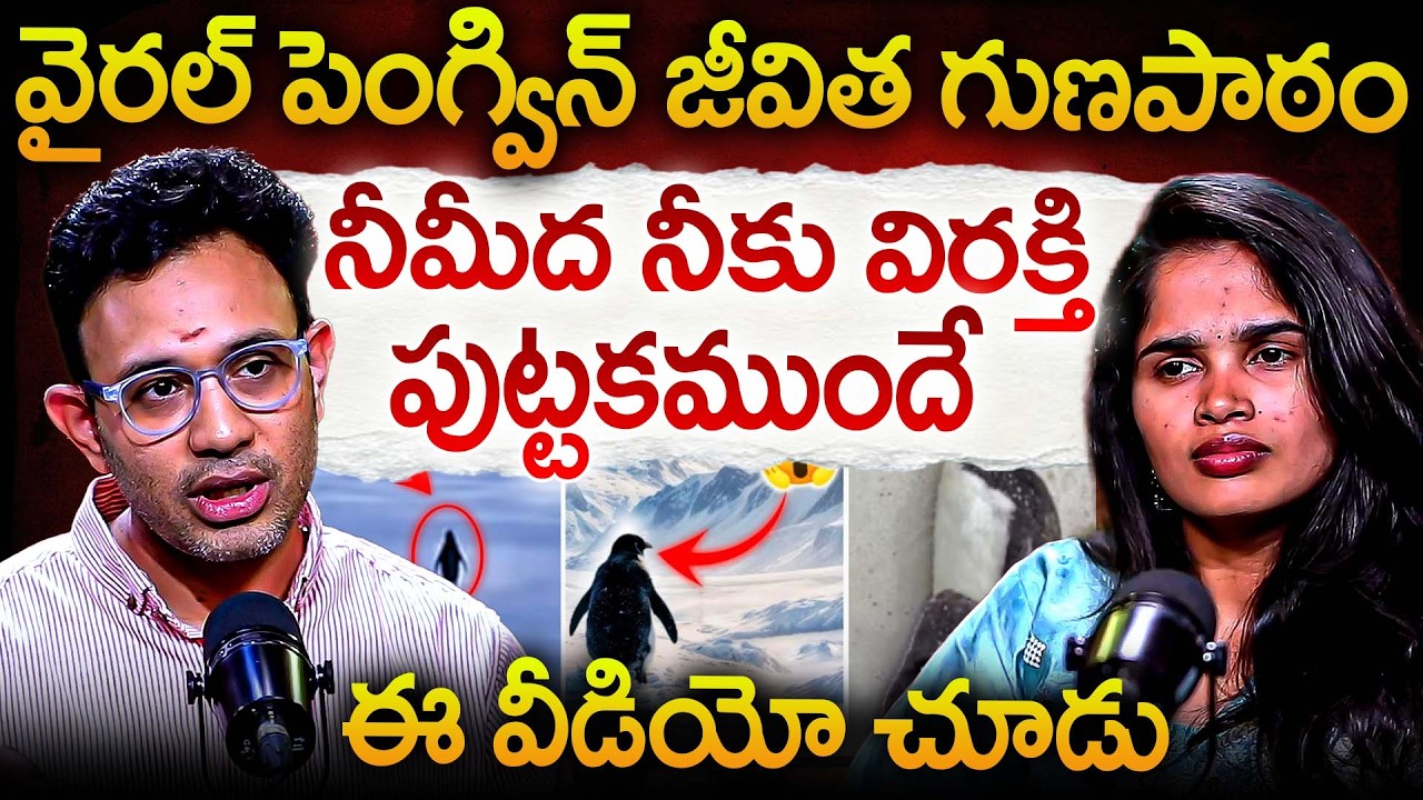 వైరల్ పెంగ్విన్ జీవిత గుణపాఠం నీమీద నీకు విరక్తి పుట్టకముందే ఈ వీడియో చూడు..? | Dr Harish Tenneti
