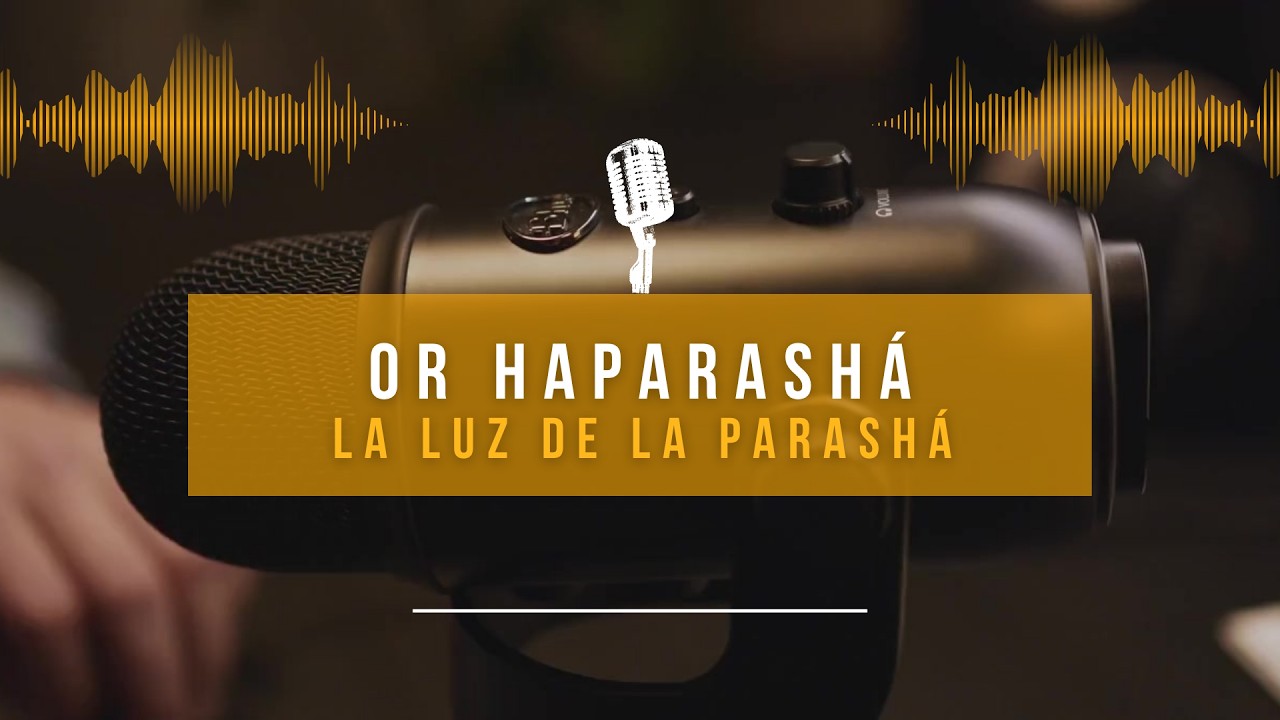 Or HaParashá   N° 19 Terumá